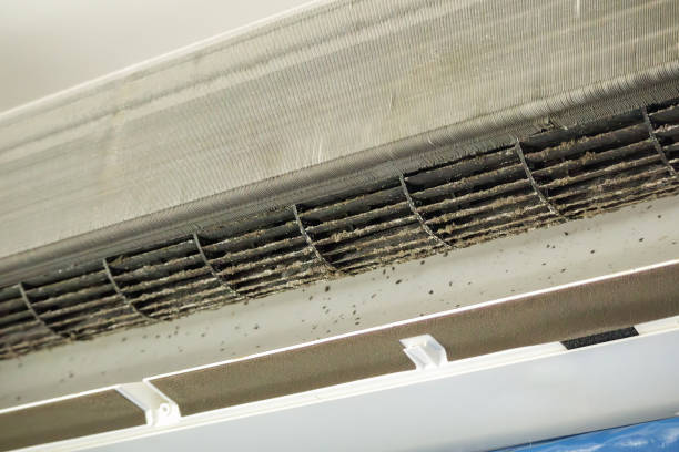 Best Affordable Air Duct Cleaning  in Cape Neddick, ME